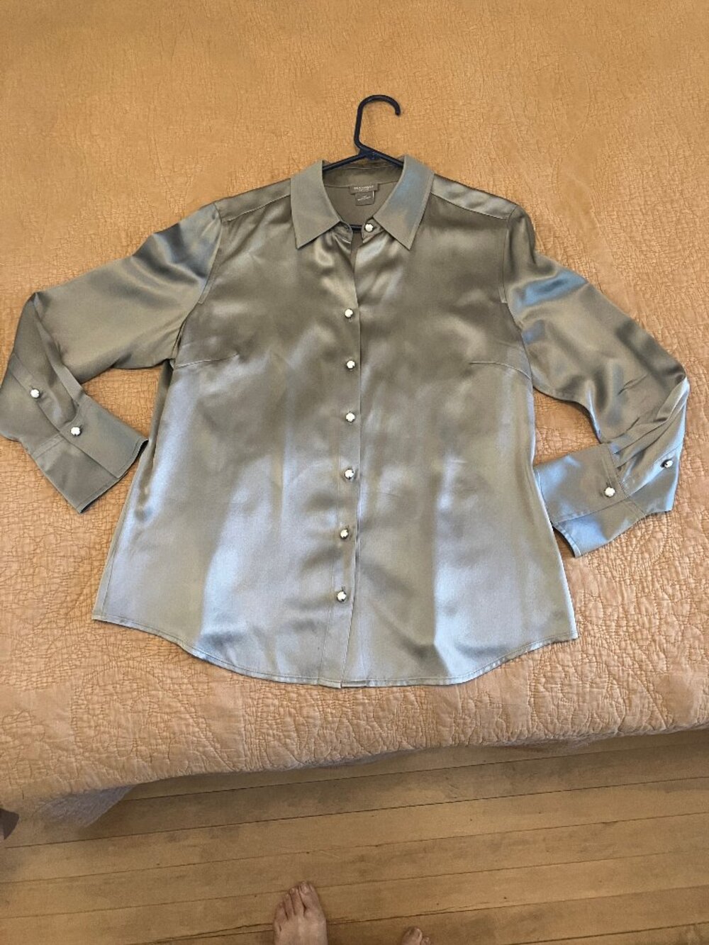 Ann Taylor Silver Silk Blouse Size 12P